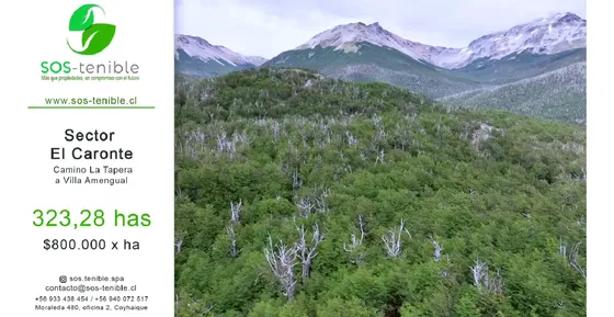 323 Has En Patagonia, Naturaleza Viva
