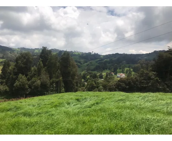 Lote En Venta En San Pedro De Los Milagros Vereda La Pulgarina 