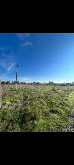 Se Vende Parcela De 5000 Mts2 Camino A Pelarco