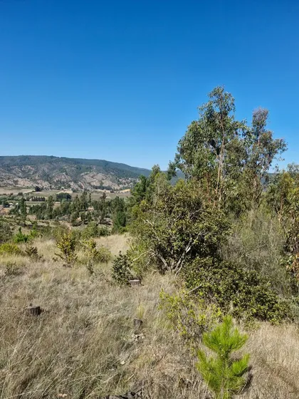 Oportunidad!!!! Venta De Terreno De 5.000mt2, Curepto