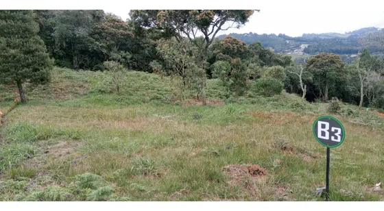 Lote En Venta Sector El Silencio En El Alto De Las Palmas Envigado