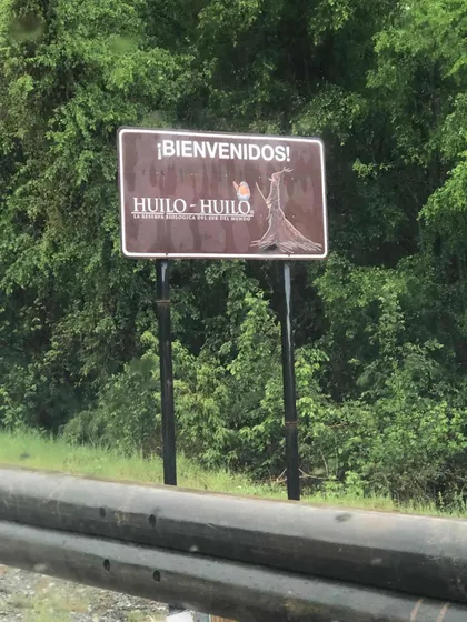 Parcela De 5000mts2 Dentro De La Reserva De Huilo Huilo