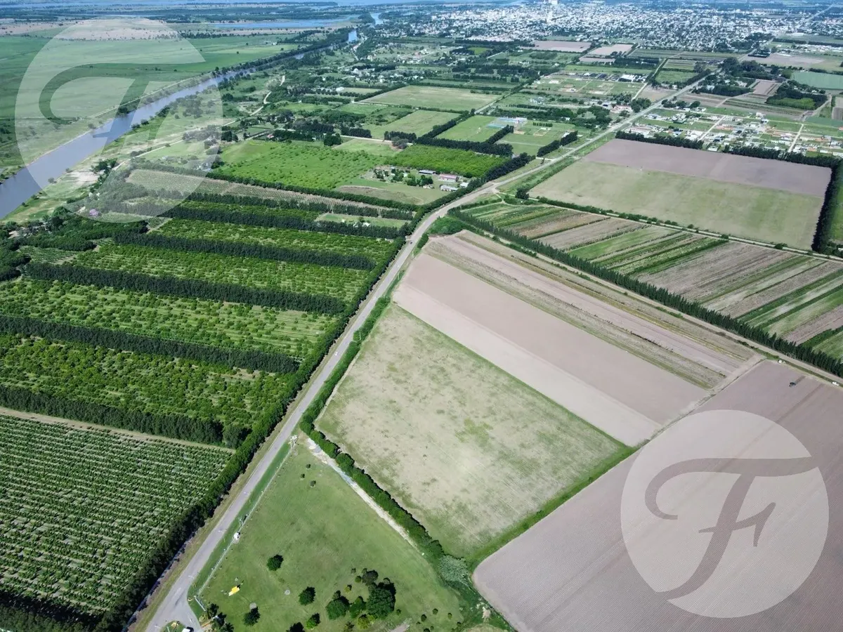 Rental in San Pedro – 4.5-Hectare Parcel on Lucio Mansilla Road – Suitable for Multiple Uses