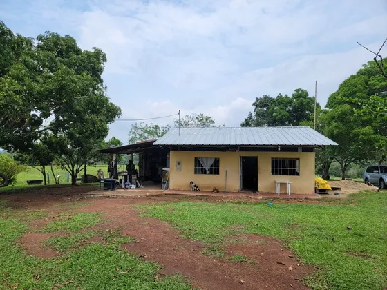 Finca Puerto Lleras Meta