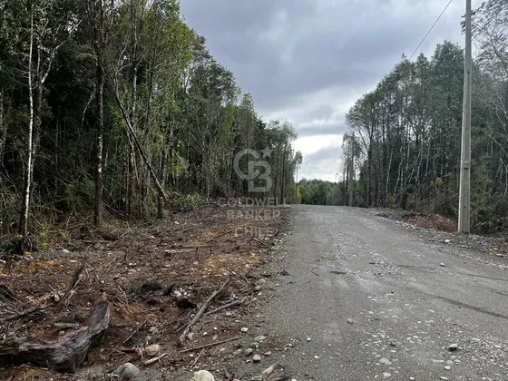 ¡parcela De Ensueño En Bosque Nativo, Puerto Varas!