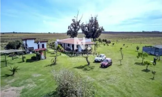 Campo En Venta, Con Casa Y Galpon Ubicado En Canelones.