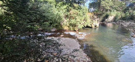 Parcela 5.000 Venta Puerto Varas (82930)