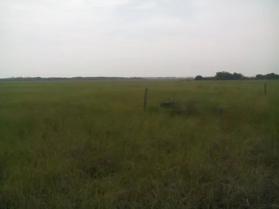 Venta Terreno 10.85 Hectareas Frente Laguna Tampamachoco Tuxpan Veracruz