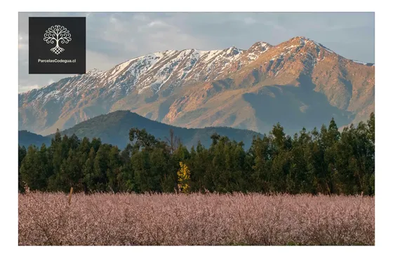 En Venta Parcela En Codegua 20min Rancagua (144719)