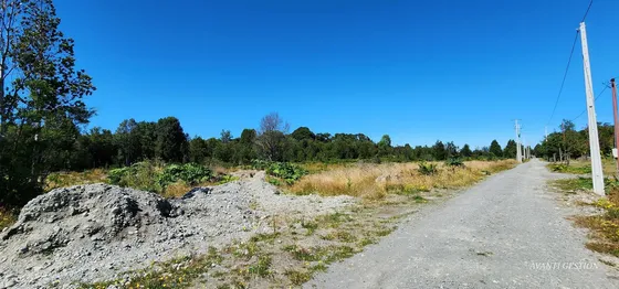 Parcela En Pelluco Alto (75203)