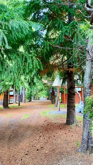 Termas De Chillan 