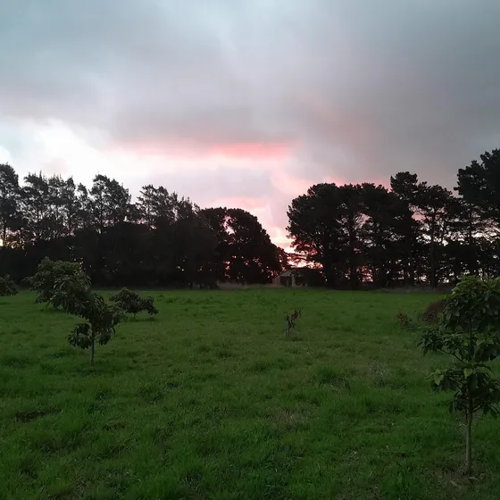 Venta Campo En Paraje El Boquerón