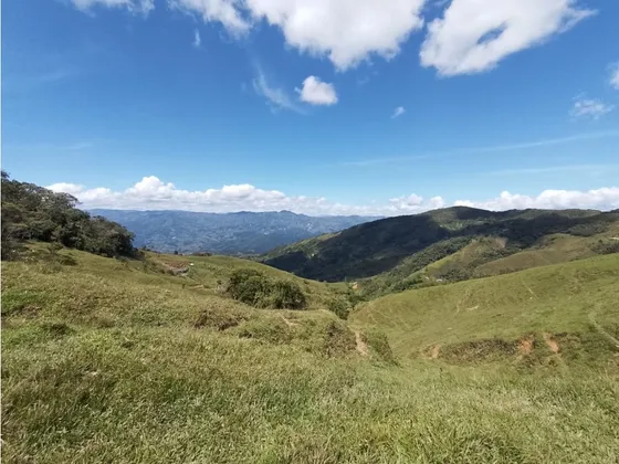Venta De Lote En Cisneros Antioquia