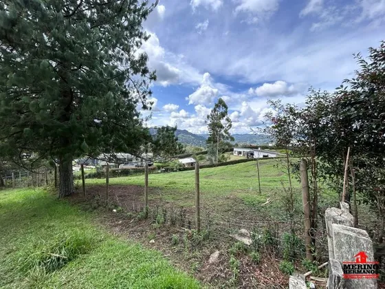 Terreno En Venta En Los Salados. Cod V6132