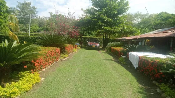 Vendo Casa Lote Carmen De Apicala Via El Paso 