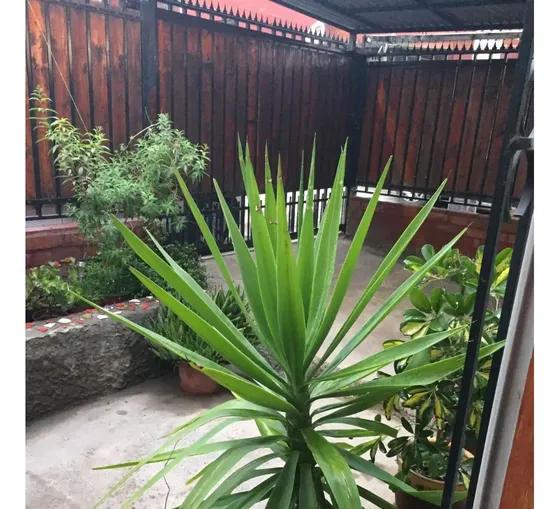 Venta Acogedora Casa En Peñalolén