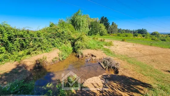 Agrícola En Venta En Pelarco