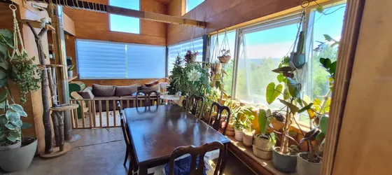 Casa En Arriendo En Punucapa
