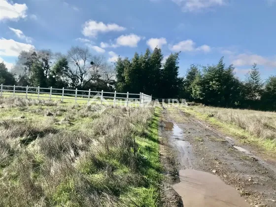 Sitio En Venta En San Clemente