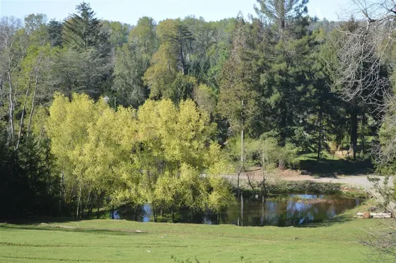Sitio En Venta En Villarrica