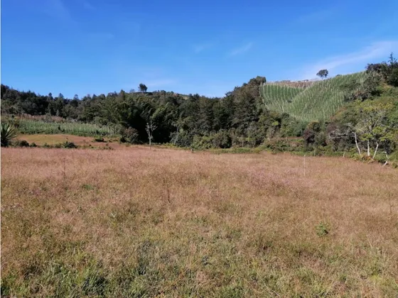 Encantador Lote En Venta Para Proyecto San Vicente