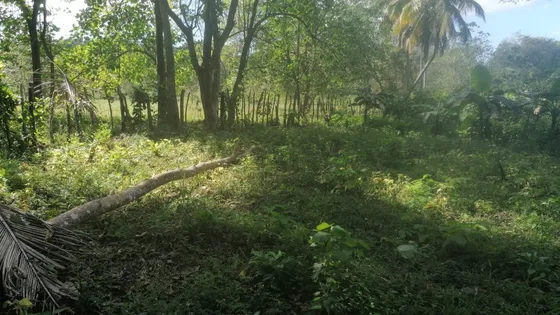 Venta Finca Los Montones, San Cristóbal
