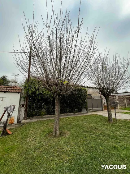 Casa En Venta - 3 Dormitorios 3 Baños - 300mts2 - Lisandro Olmos