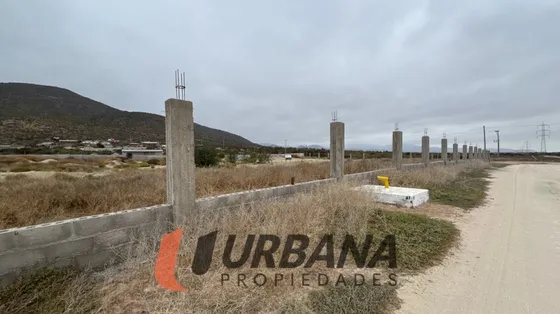 Lomas De Guanaqueros Sitio 5000m2 (105)