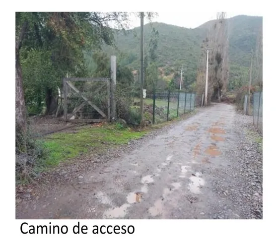 Curicó, Oportunidad Parcela Con Casa, Y Plantación Almendras