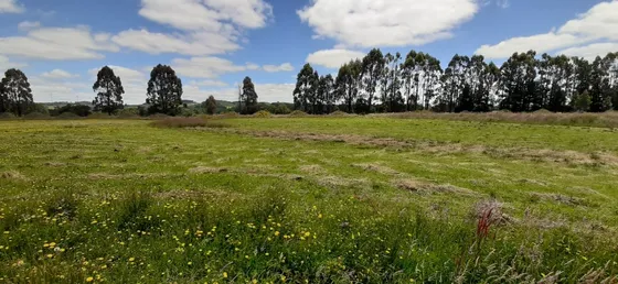 Parcela En Llanquihue 