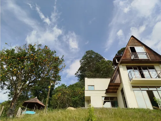 Venta Casa Campestre Vereda El Arroyo Villamaría | Casa De Campo