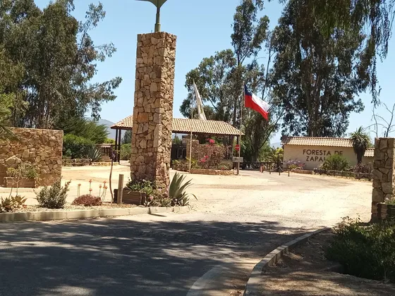Casa En Condominio La Foresta De Zapallar (173341)