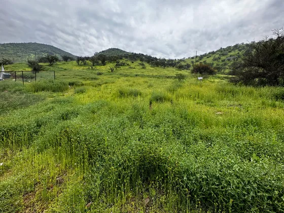 Vendo Terreno En  Lomas De Lo Aguirre 952mts