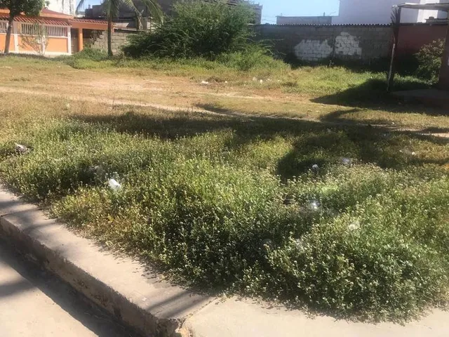 Terreno En Calle Jose Maria Vargas De Pampatar  Ic-00237