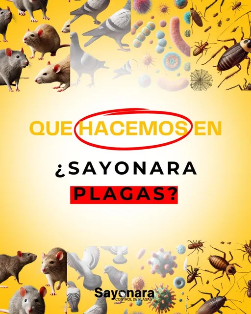 Control De Plagas, Fumigacion. 