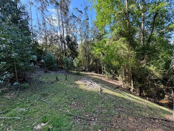 Sitio En Venta En Gorbea