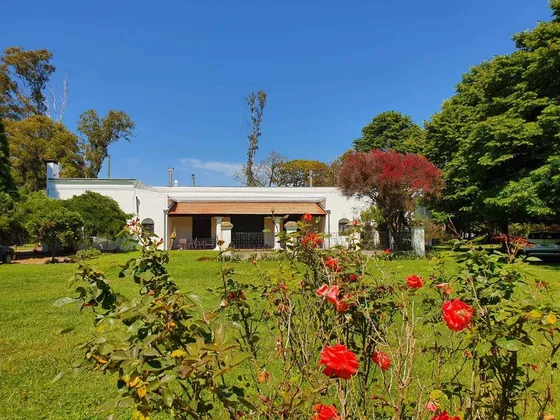 Escapada A La Diferencia: Naturaleza, Campo Y Casona Centenaria Con Wifi A Solo 2 Horas De La General Paz