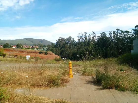 Terreno En Venta, Excelente Ubicación, Fundo El Venado.