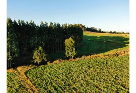 Venta Parcelas Llanquihue Sector Loncotoro