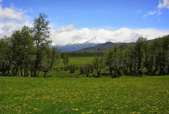 Terreno Campo  En Venta En Esquel, Chubut, Patagonia