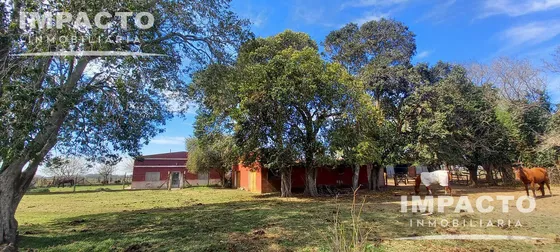 En Venta Campo Lobos, Buenos Aires 155has Campo Mixto Ganadería Agricultura