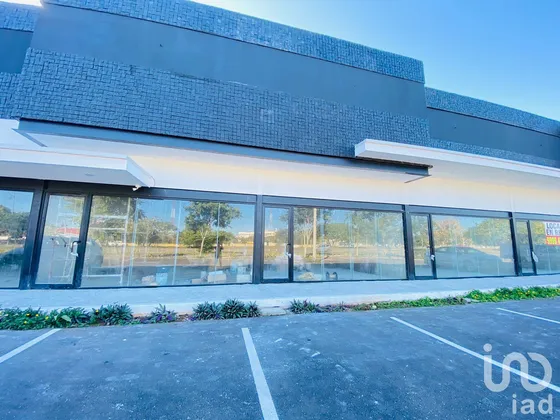 Renta Local Comercial 1 Ambiente Francisco De Montejo