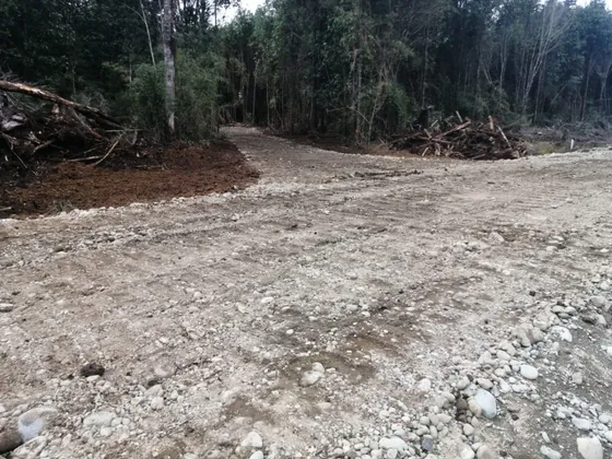 Parcela En Condominio Maderos De Puerto Varas 4