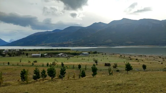 Campo - El Calafate