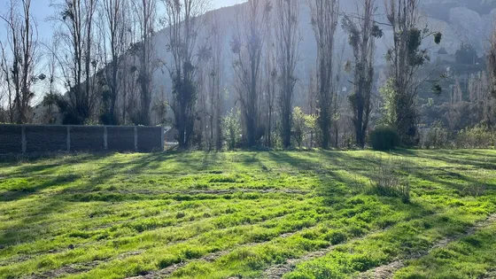 3 Parcelas Desde 3890 Uf / 5.000 Mts / 6.775 Mts / 7.275 Mts