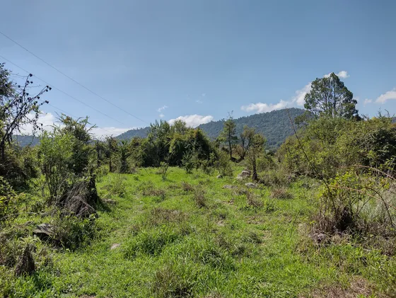 Terreno La Laguna 