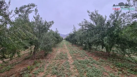 Parcela En Venta En Copiapó