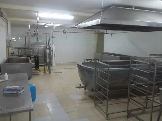 Industria Para Quesos Con Resolución Sanitari (65160)