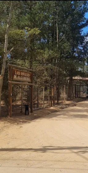Vende Parcela Con Rol, Condominio Las Piñatas, Algarrobo.