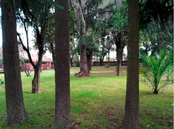 Venta Fundo En Linares Conversable